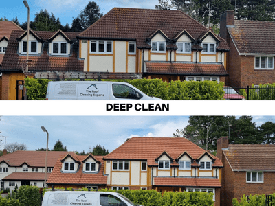 A deep cleaned roof by a roof cleaning company.