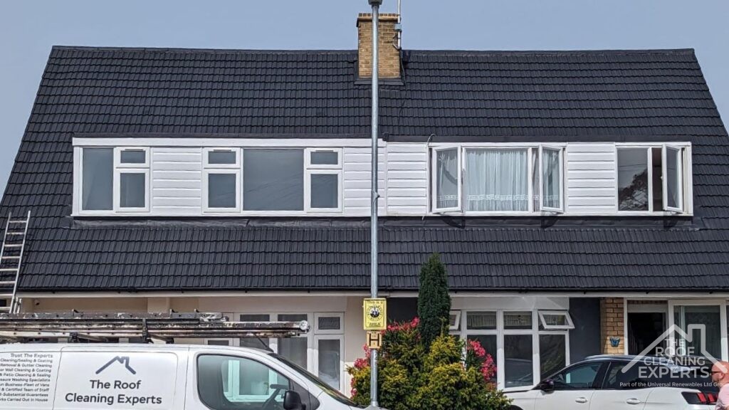 roof cleaning