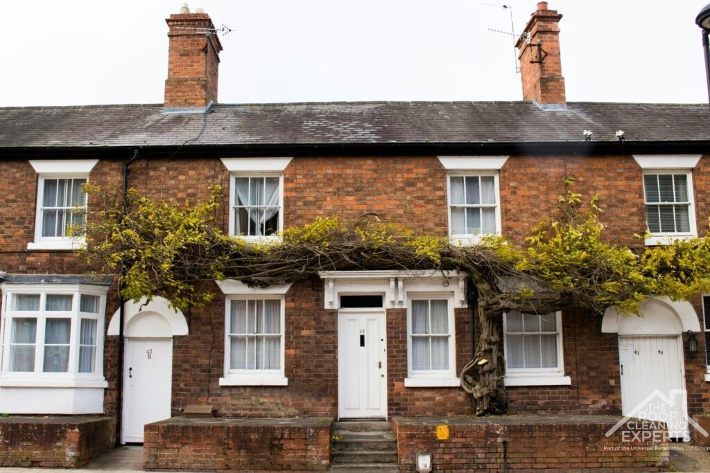 winter roof cleaning services