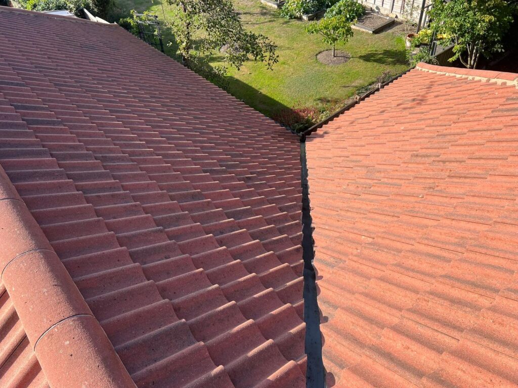 Before and after roof cleaning showing removal of moss and lichen for a cleaner, longer-lasting roof surface.
