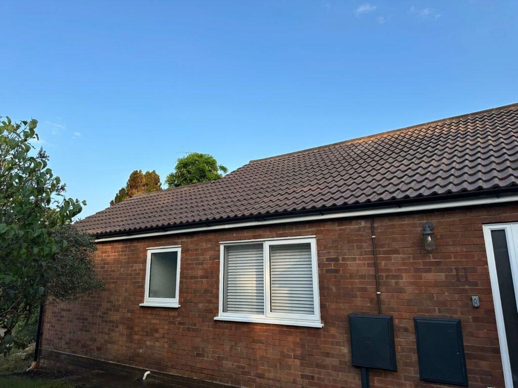 Clean roof with moss and algae removed, showing tidy tiles and restored surface after professional cleaning.