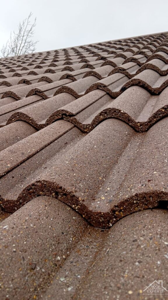 Before and after results of expert Essex roof cleaning showing a restored, protected roof