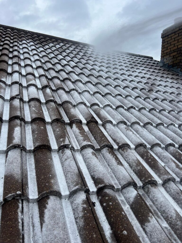 Soft wash roof cleaning process protecting tiles while removing moss and algae