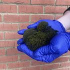UNiveersal Eco Homes - Moss removal